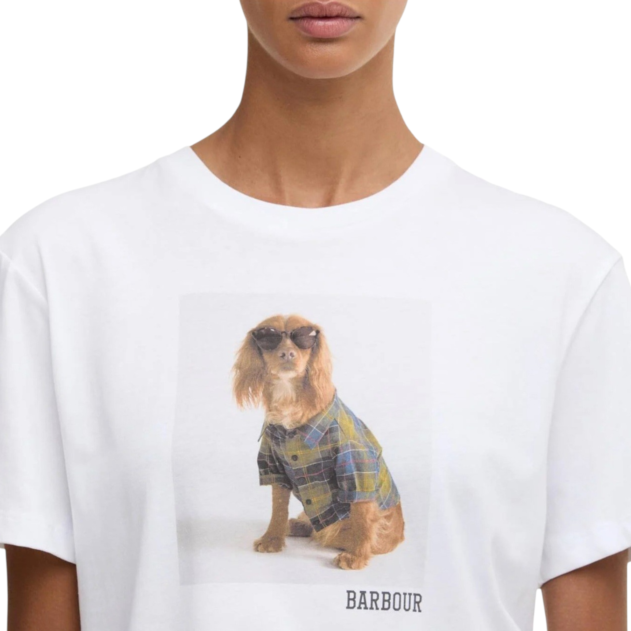 Barbour Marine | T-shirt